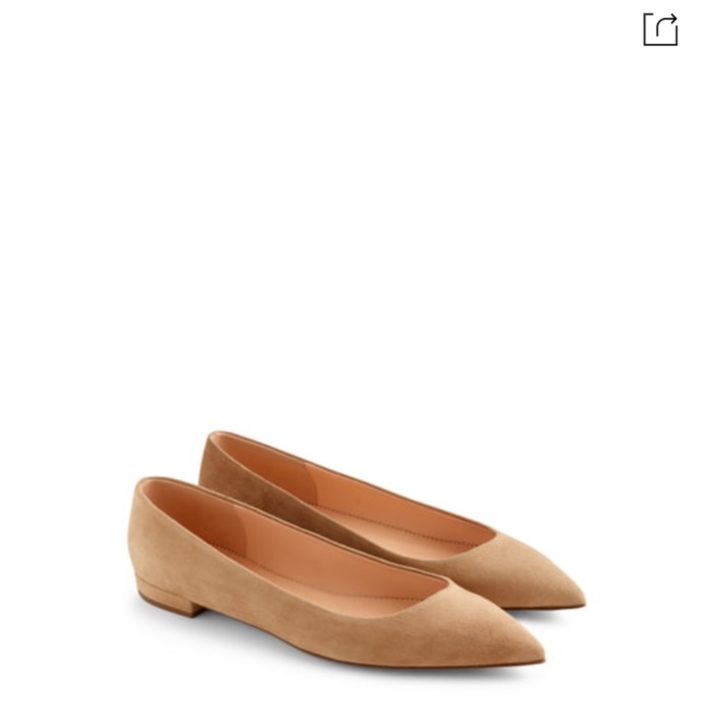 Pointy Toe Flat Suede 11